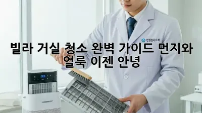 빌라 거실 청소 완벽 가이드: 먼지와 얼룩, 이젠 안녕!