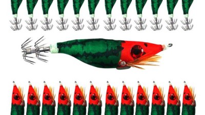 득템찬스! 냉동쭈꾸미낚시 최고의 선택 가이드🎣